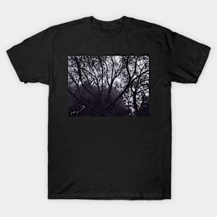 Light Between the Branches, black and white photo T-Shirt